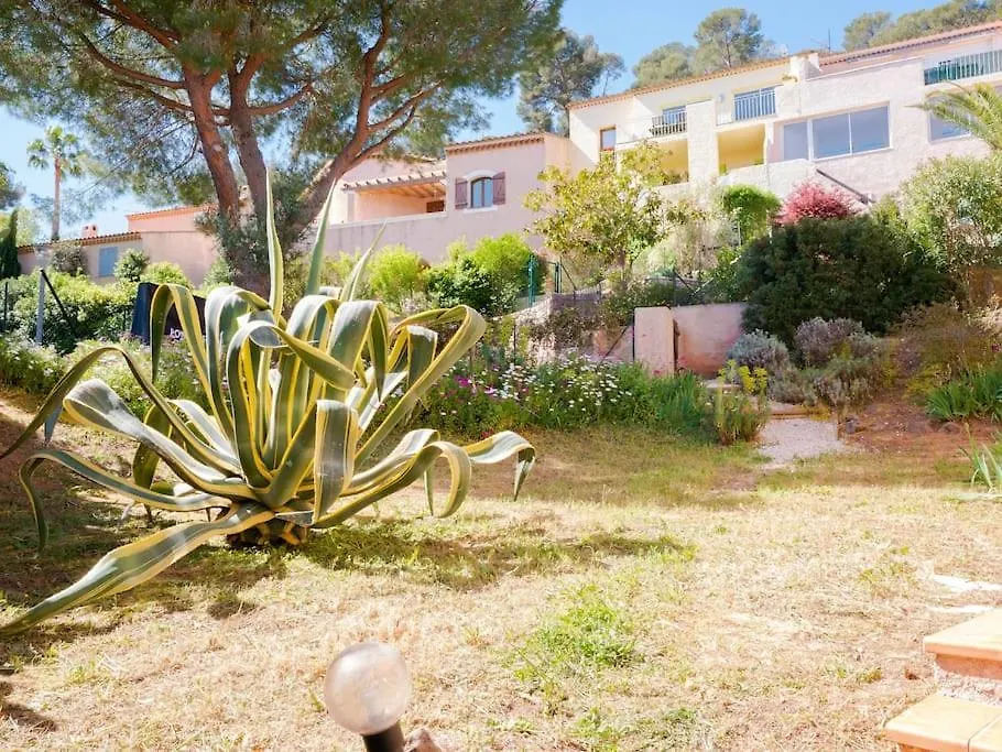 Villa Maison Familiale Sous Les Palmiers De Hyeres France